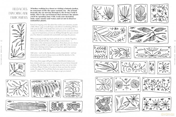 Beyond Botanical: A Guide to Drawing Plants in Nature - Daniel The Gardener [KSIĄŻKA]