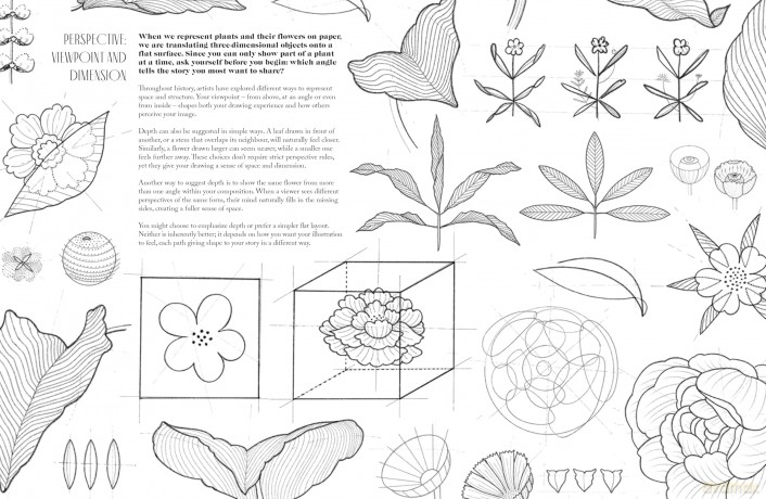 Beyond Botanical: A Guide to Drawing Plants in Nature - Daniel The Gardener [KSIĄŻKA]