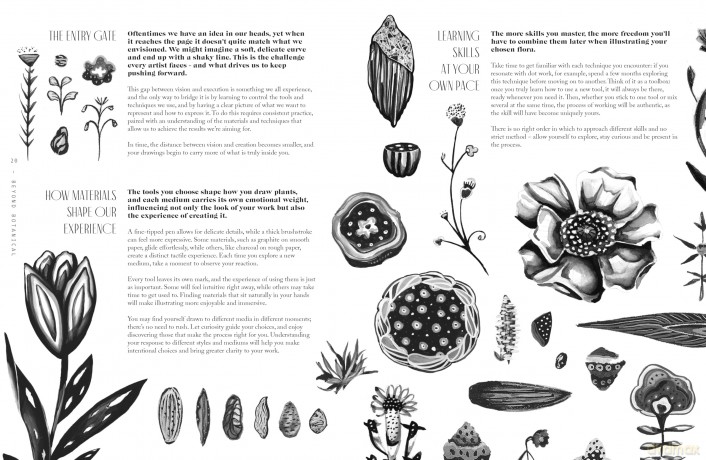 Beyond Botanical: A Guide to Drawing Plants in Nature - Daniel The Gardener [KSIĄŻKA]
