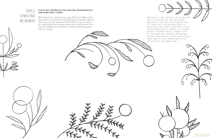 Beyond Botanical: A Guide to Drawing Plants in Nature - Daniel The Gardener [KSIĄŻKA]