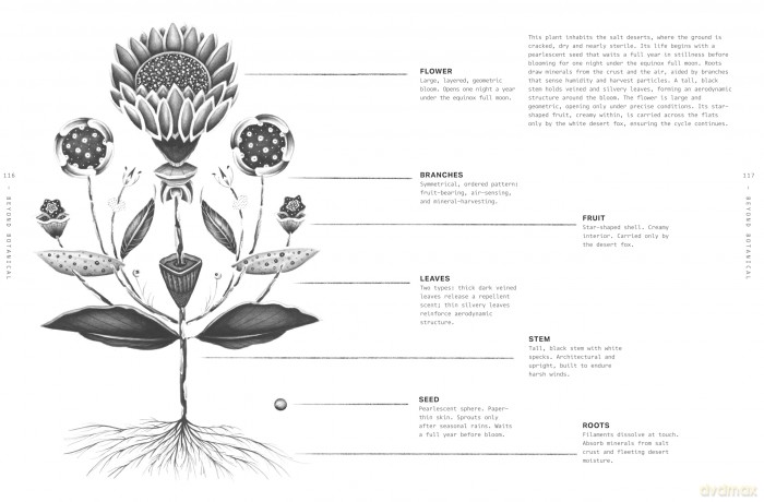 Beyond Botanical: A Guide to Drawing Plants in Nature - Daniel The Gardener [KSIĄŻKA]