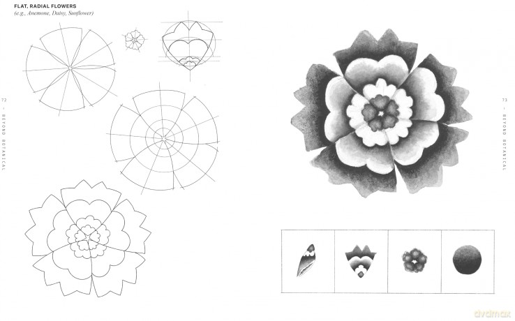 Beyond Botanical: A Guide to Drawing Plants in Nature - Daniel The Gardener [KSIĄŻKA]