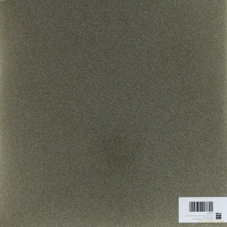 Balthazar: Thin Walls [Winyl]