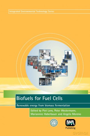 Biofuels for Fuel Cells (Integrated Environmental Technology Series) - No Author Stated [KSIĄŻKA]