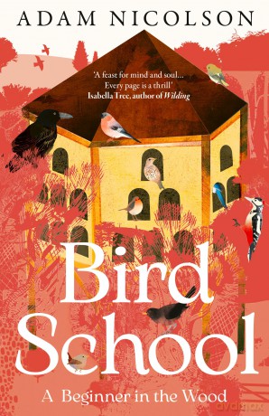 Bird School - Adam Nicolson [KSIĄŻKA]