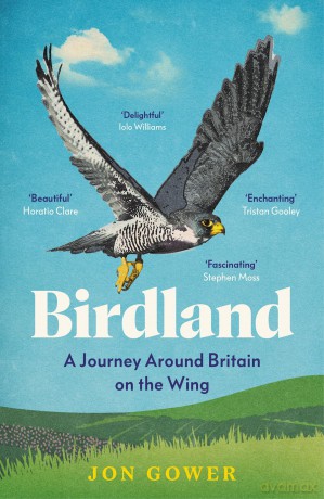 Birdland: A Journey Around Britain on the Wing - Jon Gower [KSIĄŻKA]