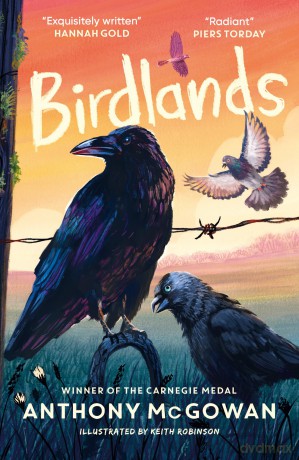 Birdlands: 'One of McGowan's best.' The Telegraph best new children's books - Anthony Mcgowan [KSIĄŻKA]