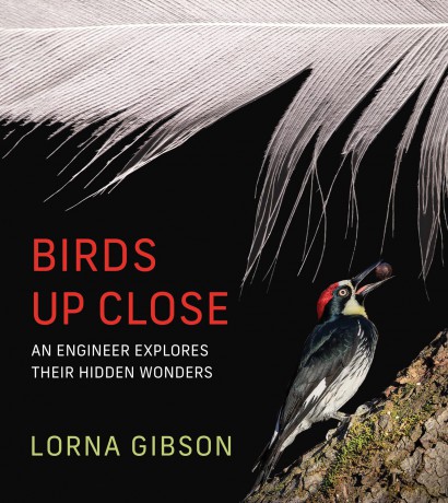 Birds Up Close: An Engineer Explores Their Hidden Wonders - Lorna Gibson [KSIĄŻKA]
