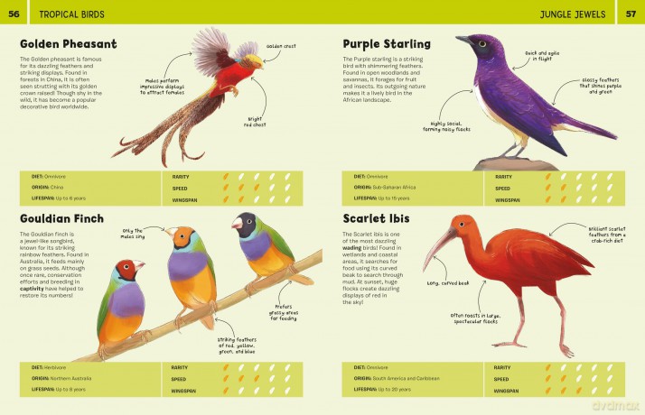 Birds: An Illustrated Guide to 100 Brilliant Birds - Marina (Ill) Halak [KSIĄŻKA]