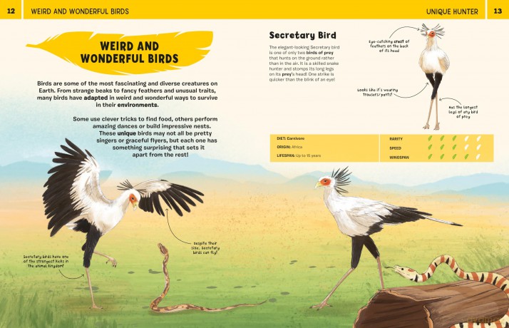 Birds: An Illustrated Guide to 100 Brilliant Birds - Marina (Ill) Halak [KSIĄŻKA]