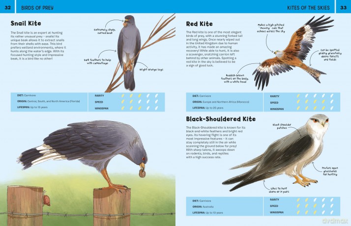 Birds: An Illustrated Guide to 100 Brilliant Birds - Marina (Ill) Halak [KSIĄŻKA]
