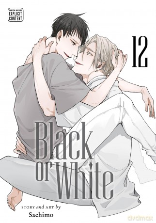 Black or White, Vol. 12 - Sachimo [KOMIKS]