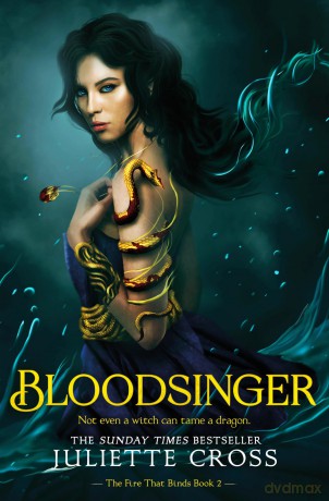Bloodsinger - Juliette Cross [KSIĄŻKA]