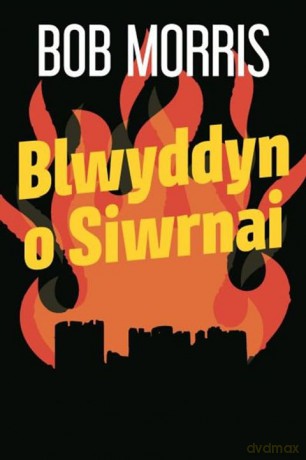 Blwyddyn o Siwrnai - Bob Morris [KSIĄŻKA]