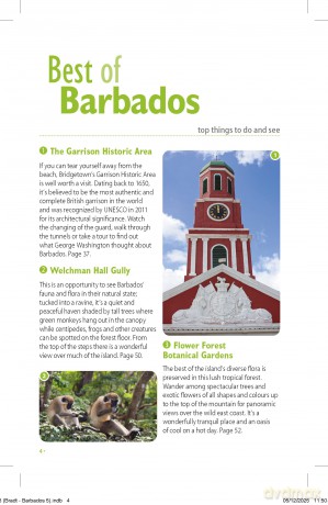 Bradt Barbados (Travel Guide) - Daniel Austin [KSIĄŻKA]