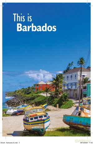 Bradt Barbados (Travel Guide) - Daniel Austin [KSIĄŻKA]