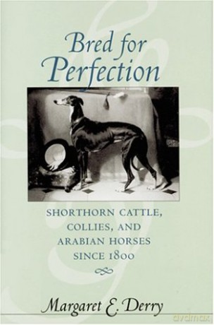 Bred for Perfection: Shorthorn Cattle, Collies, and Arabian Horses since 1800 (Animals, History, Culture) [KSIĄŻKA]