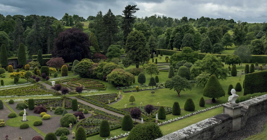 British Gardens: The Instant Sunday Times Bestseller (BBC Books) - Monty Don [KSIĄŻKA]
