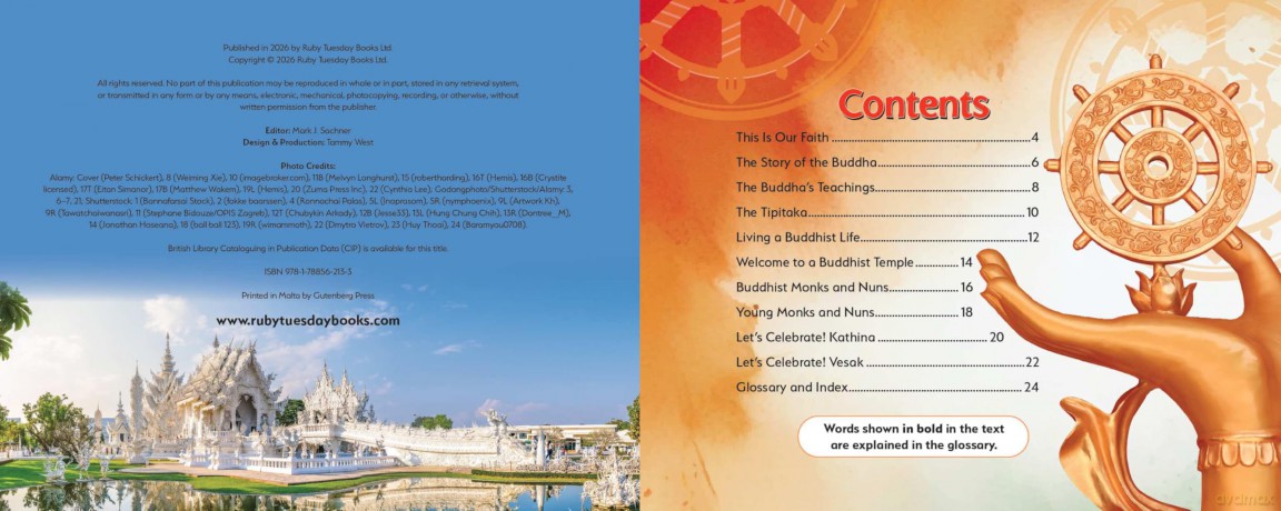 Buddhism, This is Our Faith (My World Your World) - Ruth Owen [KSIĄŻKA]