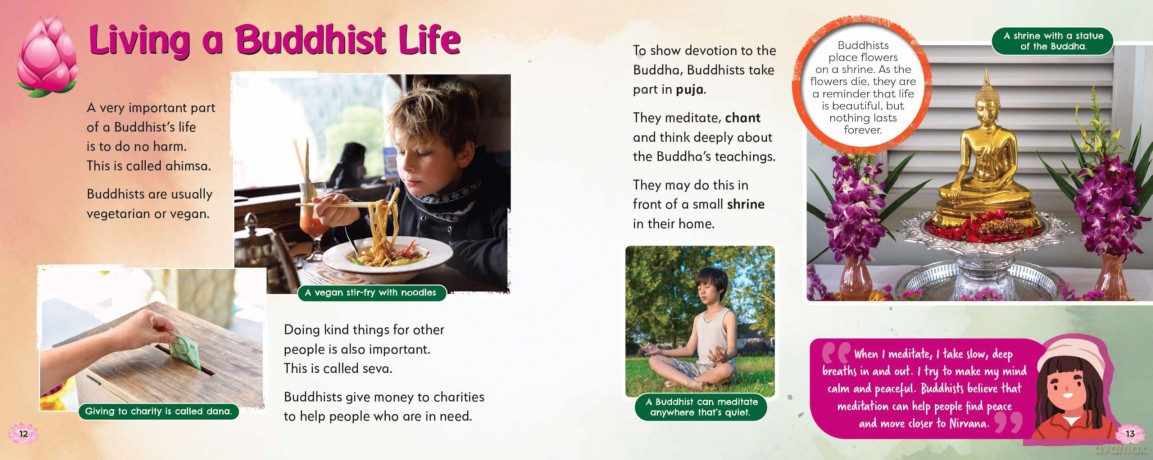Buddhism, This is Our Faith (My World Your World) - Ruth Owen [KSIĄŻKA]