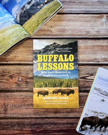 Buffalo Lessons: How Bison Returned to Banff National Park [KSIĄŻKA]
