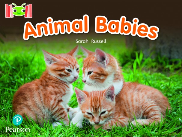 Bug Club Reading Corner: Age 4-7: Animal Babies - Sarah Russell [KSIĄŻKA]