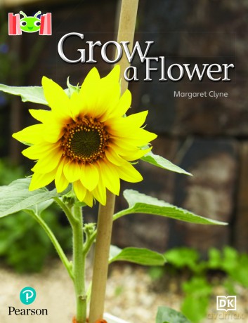 Bug Club Reading Corner: Age 4-7: Grow a Flower - Margaret Clyne [KSIĄŻKA]