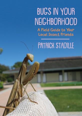 Bugs in Your Neighborhood: A Field Guide to Your Local Insect Friends [KSIĄŻKA]
