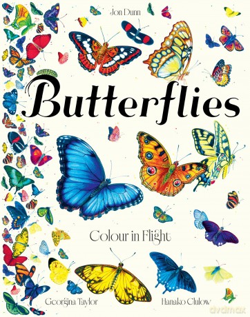 Butterflies: Colour in Flight - Jon Dunn [KSIĄŻKA]