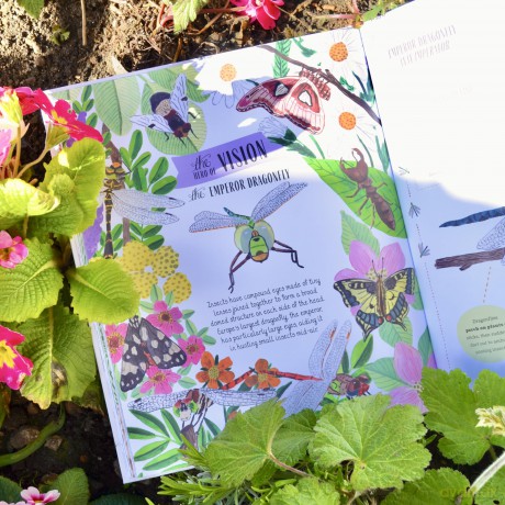 Buzz: A child's guide to bugs and bees and how to spot them (In Our Nature) - Richard Jones [KSIĄŻKA]