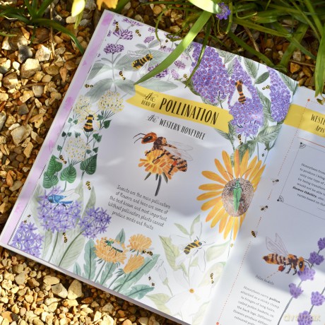 Buzz: A child's guide to bugs and bees and how to spot them (In Our Nature) - Richard Jones [KSIĄŻKA]