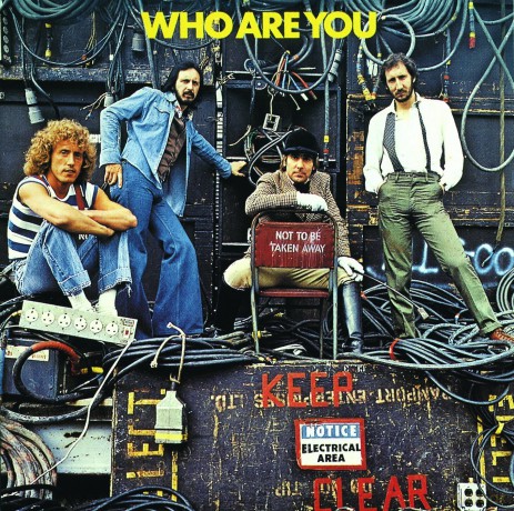 The Who: Who Are You [Winyl]