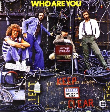 The Who: Who Are You [Winyl]