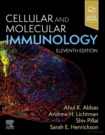 Cellular and Molecular Immunology - bul K. Abbas [KSIĄŻKA]