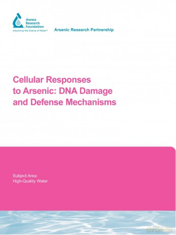 Cellular Responses to Arsenic: DNA Damage and Defense Mechanisms (Water Research Foundation Report Series) - No Author Stated [KSIĄŻKA]