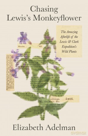 Chasing Lewis's Monkeyflower: The Amazing Afterlife of the Lewis and Clark Expedition's Wild Plants - Elizabeth Adelman [KSIĄŻKA]