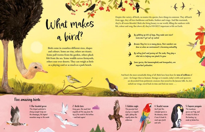 Chickens and Other Dinosaurs: How Dinosaurs Became the Birds We Know Today - Ben Lerwill [KSIĄŻKA]
