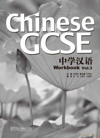 Chinese GCSE vol.3 - Workbook - Qiaoqi Li [KSIĄŻKA]