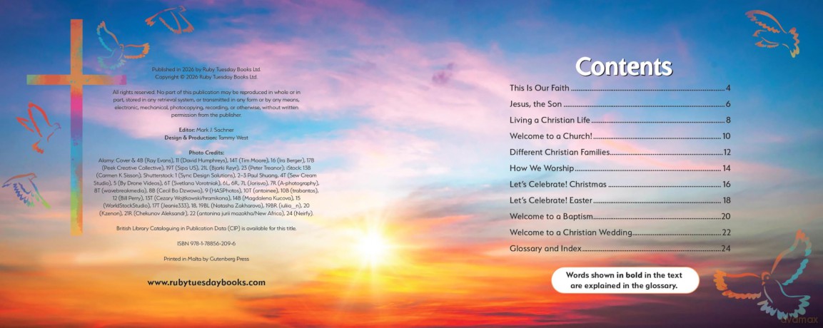Chrisitianity, This is Our Faith (My World Your World) - Ruth Owen [KSIĄŻKA]