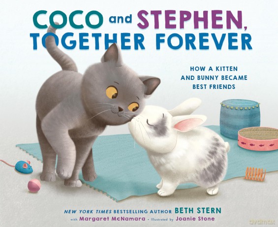 Coco and Stephen, Together Forever: How a Kitten and Bunny Became Best Friends - Beth Stern [KSIĄŻKA]