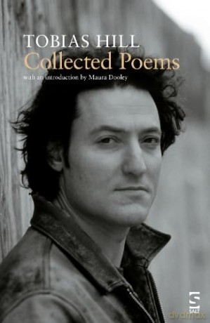 Collected Poems (Salt Modern Poets) - Tobias Hill [KSIĄŻKA]
