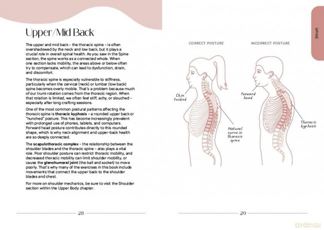 Craft Without Pain: Injury prevention and self-care for knitters and other makers - Andrea Lui [KSIĄŻKA]