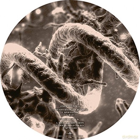 Nightwish: Endless Forms Most Beautiful (Picture Disc) [2xWinyl]