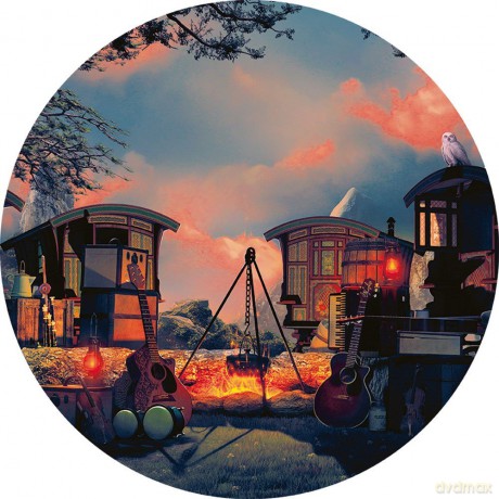 Nightwish: Endless Forms Most Beautiful (Picture Disc) [2xWinyl]