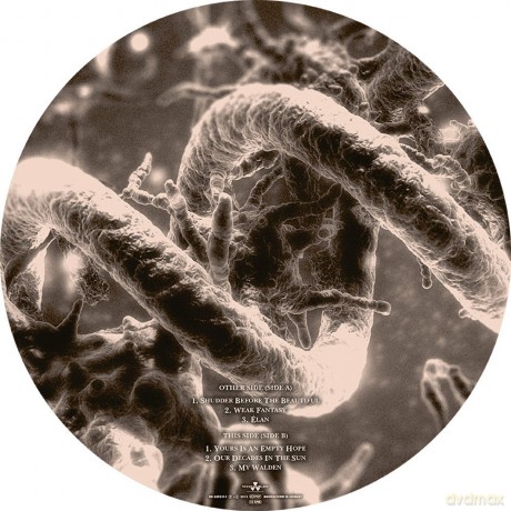 Nightwish: Endless Forms Most Beautiful (Picture Disc) [2xWinyl]