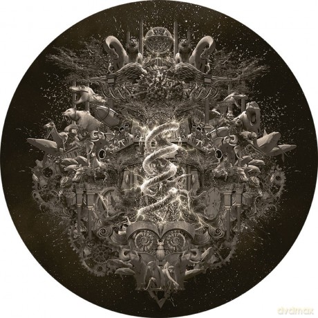 Nightwish: Endless Forms Most Beautiful (Picture Disc) [2xWinyl]
