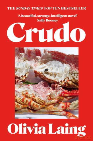 Crudo - Olivia Laing [KSIĄŻKA]