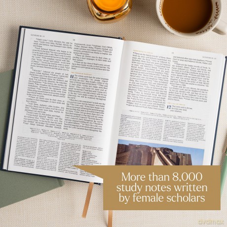 CSB Women's Study Bible, Earthen Teal Suedesoft: Christian Standard Bible, Earthen Teal Suedesoft Leathertouch - Csb Bibles By Holman [KSIĄŻKA]