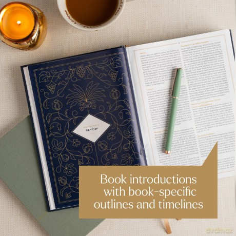 CSB Women's Study Bible, Earthen Teal Suedesoft: Christian Standard Bible, Earthen Teal Suedesoft Leathertouch - Csb Bibles By Holman [KSIĄŻKA]
