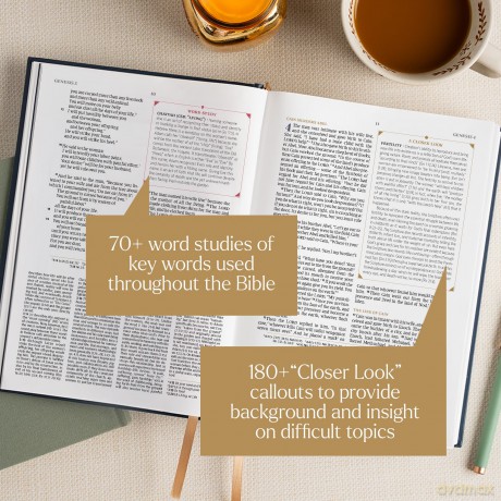 CSB Women's Study Bible, Earthen Teal Suedesoft: Christian Standard Bible, Earthen Teal Suedesoft Leathertouch - Csb Bibles By Holman [KSIĄŻKA]